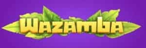 Blaze app download